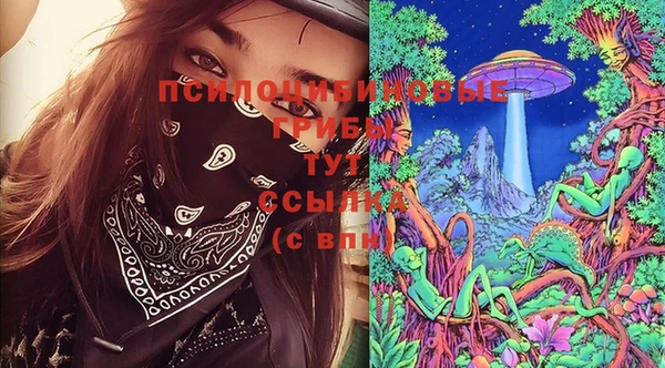 стаф Алексеевка