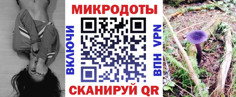 Псилоцибиновые грибы GOLDEN TEACHER  Арамиль 